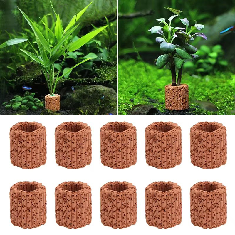 Marine Aquarium Hobby - Aquatic Plant Fixed Ring for Aquarium