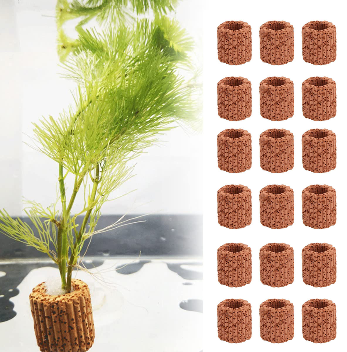 Marine Aquarium Hobby - 10/20Pcs Aquatic Water Plant Fixed Ring