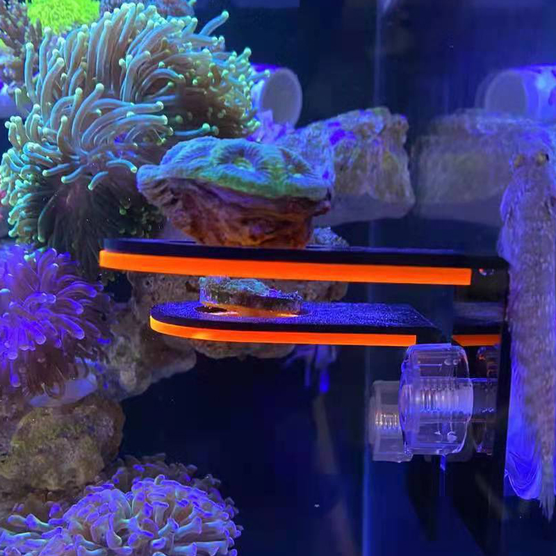 Marine Aquarium Reef - Aquarium Acrylic Fluorescent Coral Growing Holder