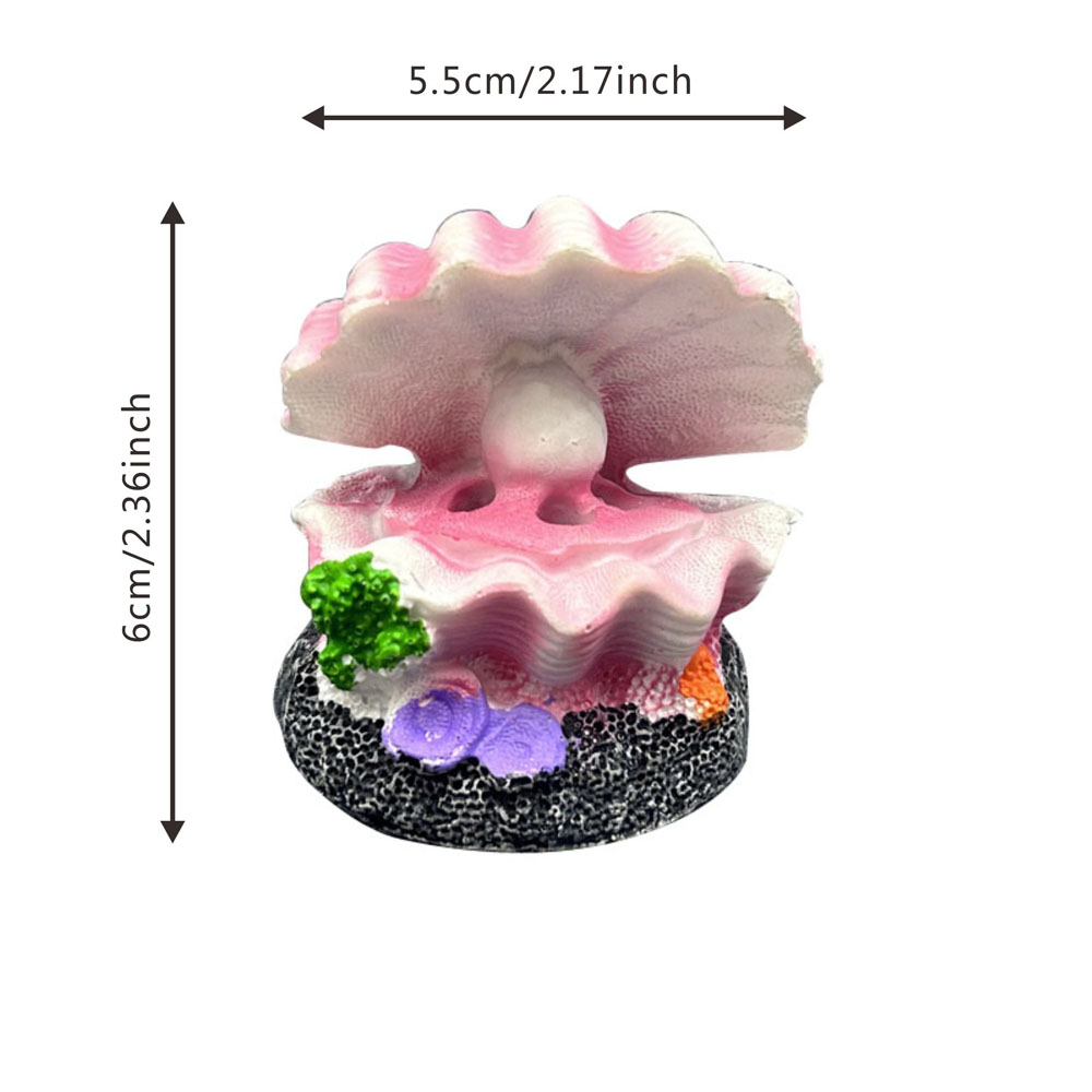 Cute Shell Shape Bubble Stone  - đánh giá và giá Marine Aquarium Hobby