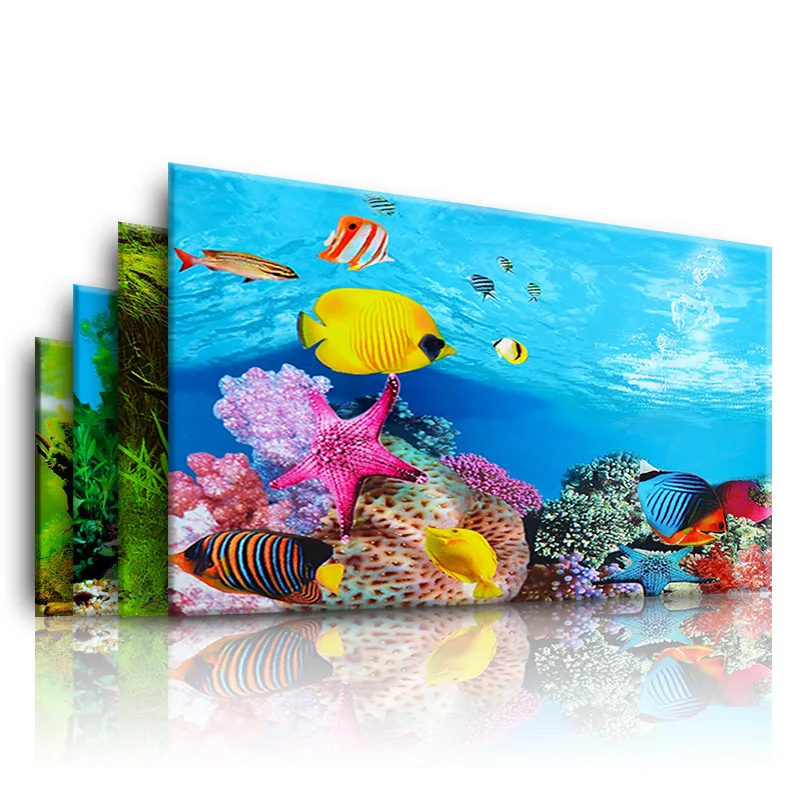 Background for Aquarium 3d  St - đánh giá và giá Marine Aquarium Hobby