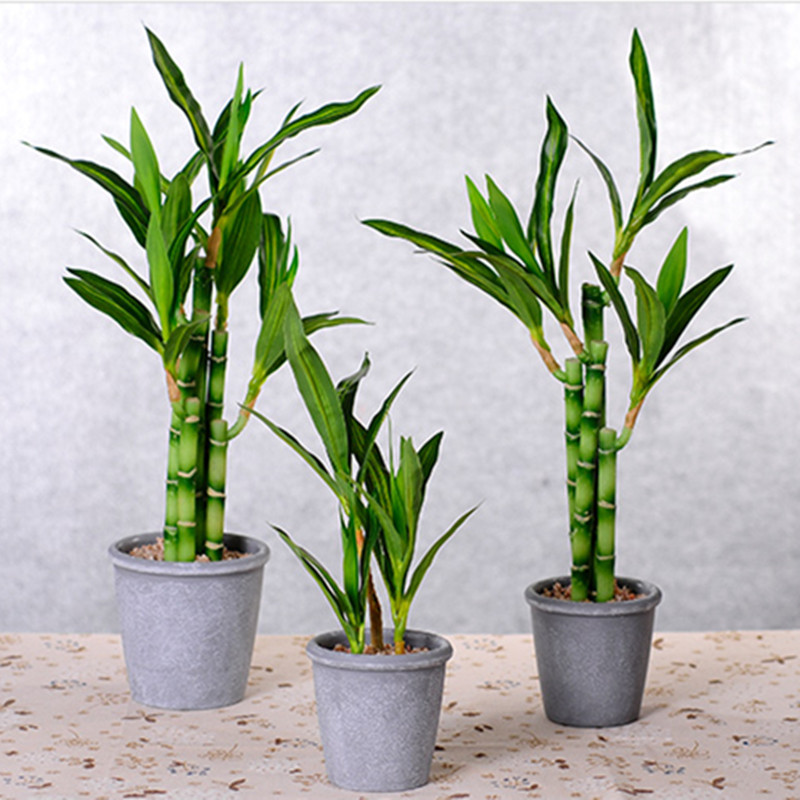 New 40cm rFtificial Lucky Bamb - đánh giá và giá Aquarium Marine Fish