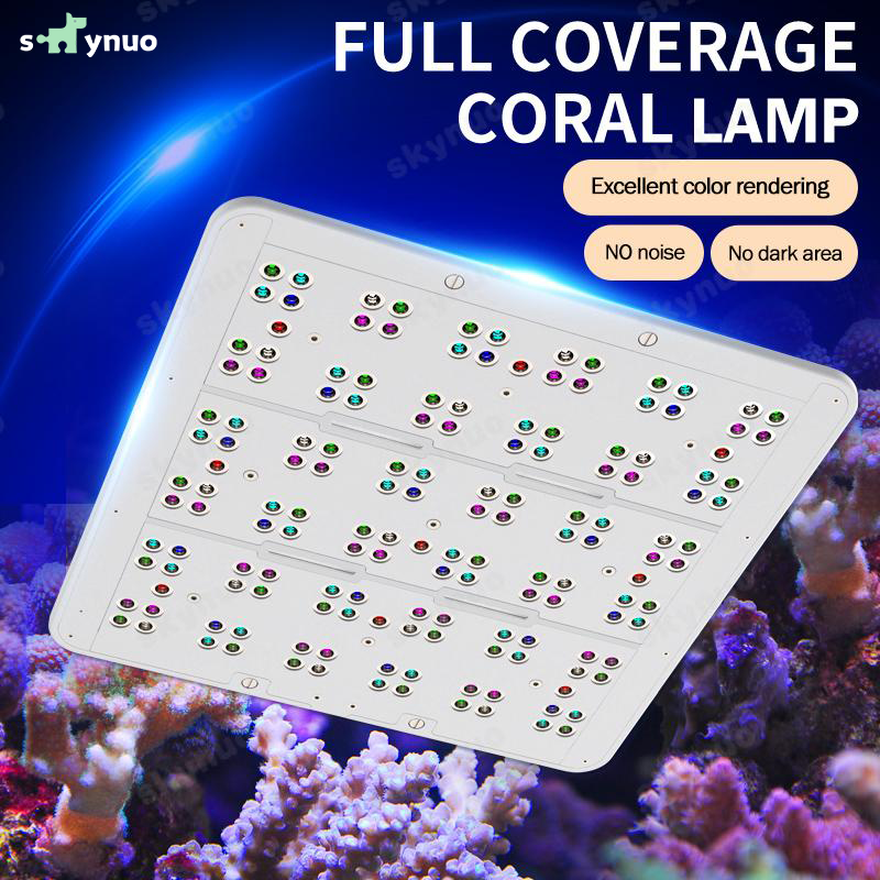 Hot KASSRAY T169/T215 CREEs LE - đánh giá và giá Marine Aquarium Reef