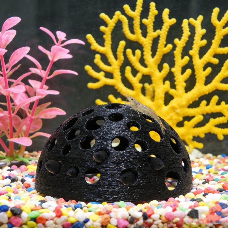 Aquarium Hidden Cave Shelter F - đánh giá và giá Marine Aquarium Hobby