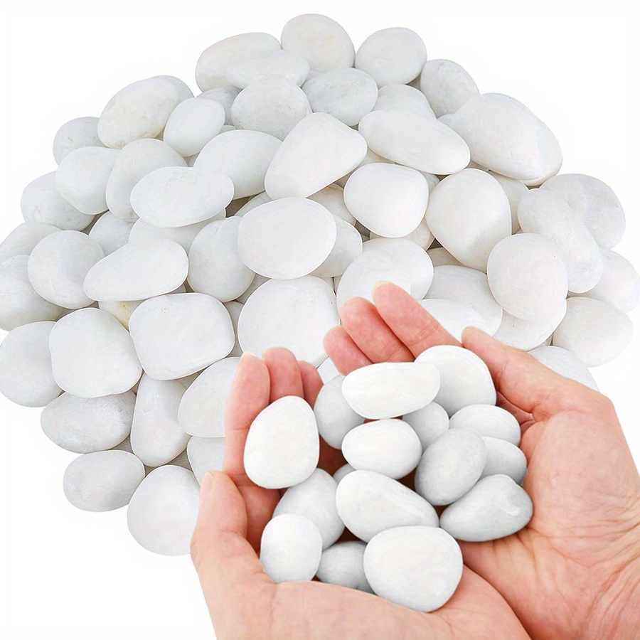 200/400g White High Polished N - đánh giá và giá Aquarium Marine Fish