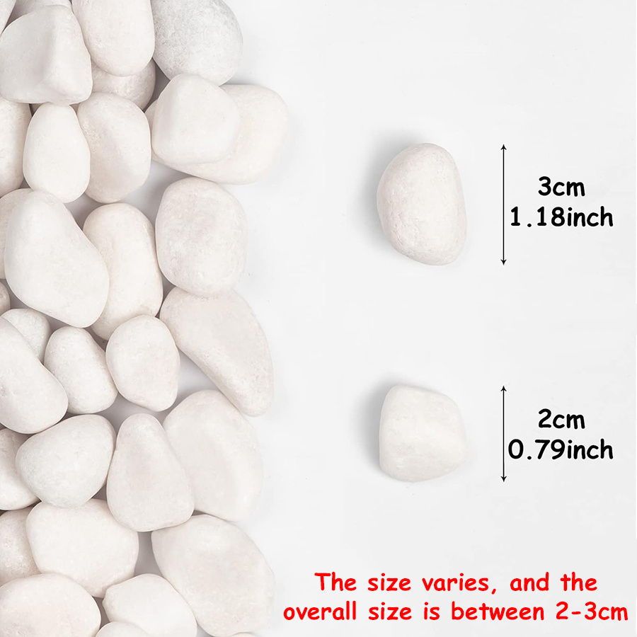200/400g White High Polished N - đánh giá và giá Aquarium Marine Fish