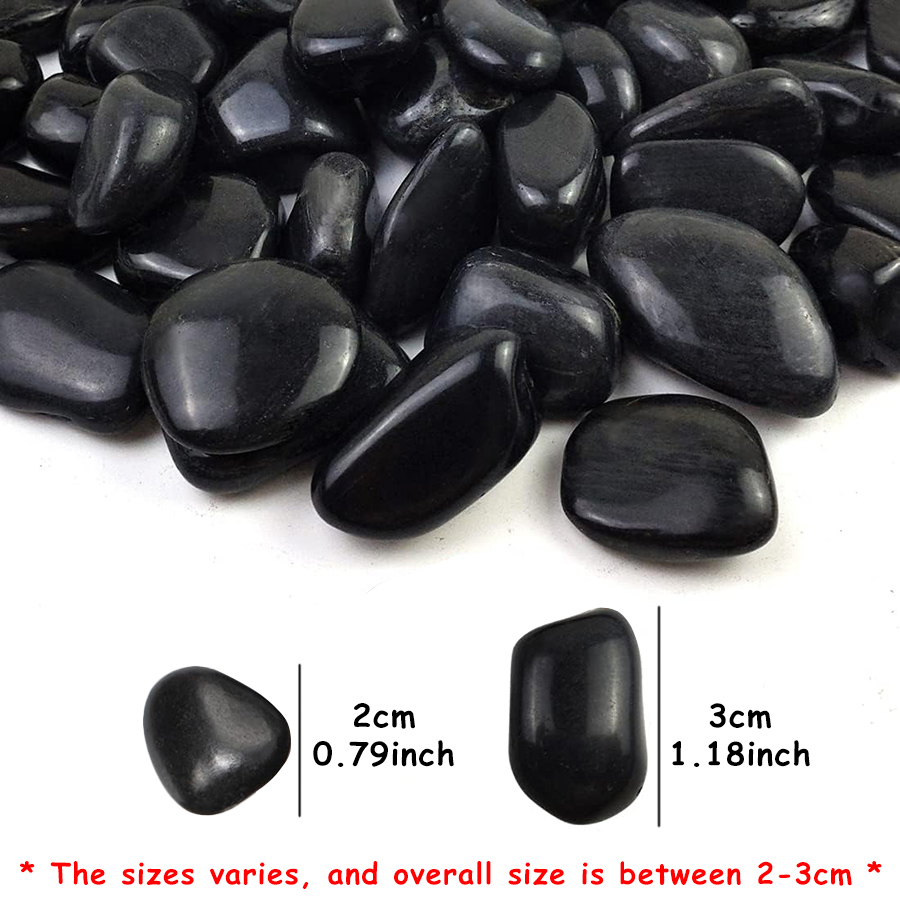 200g Black High Polished Natur - đánh giá và giá Aquarium Marine Fish