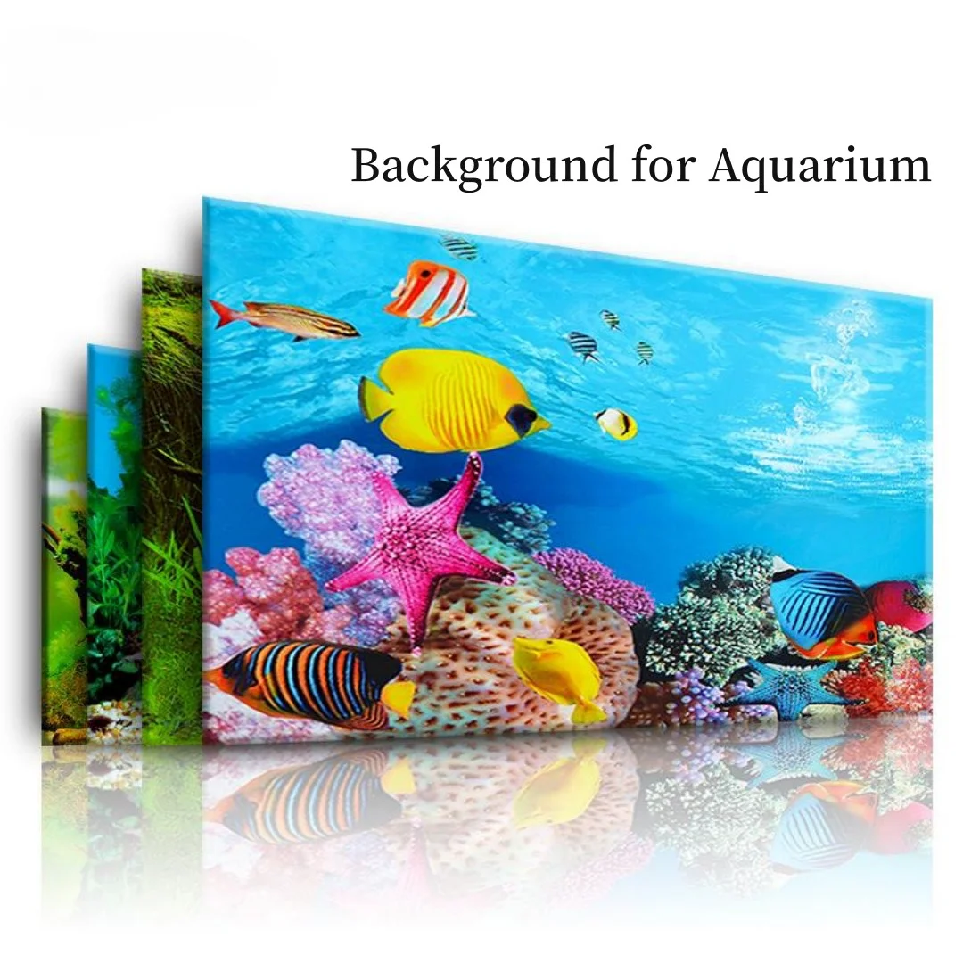Background Aquarium 3D Sticker - đánh giá và giá Marine Aquarium Hobby