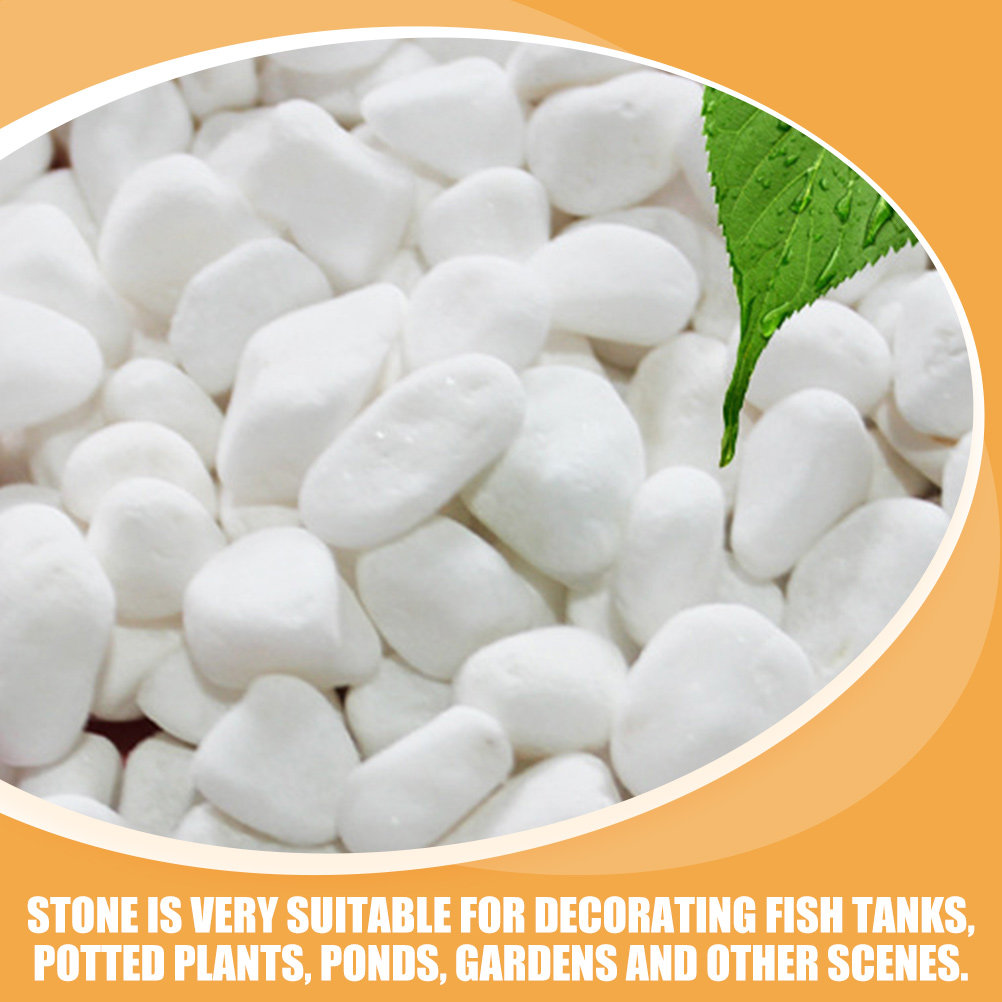 1Set White Decorative Stone El - đánh giá và giá Aquarium Marine Fish