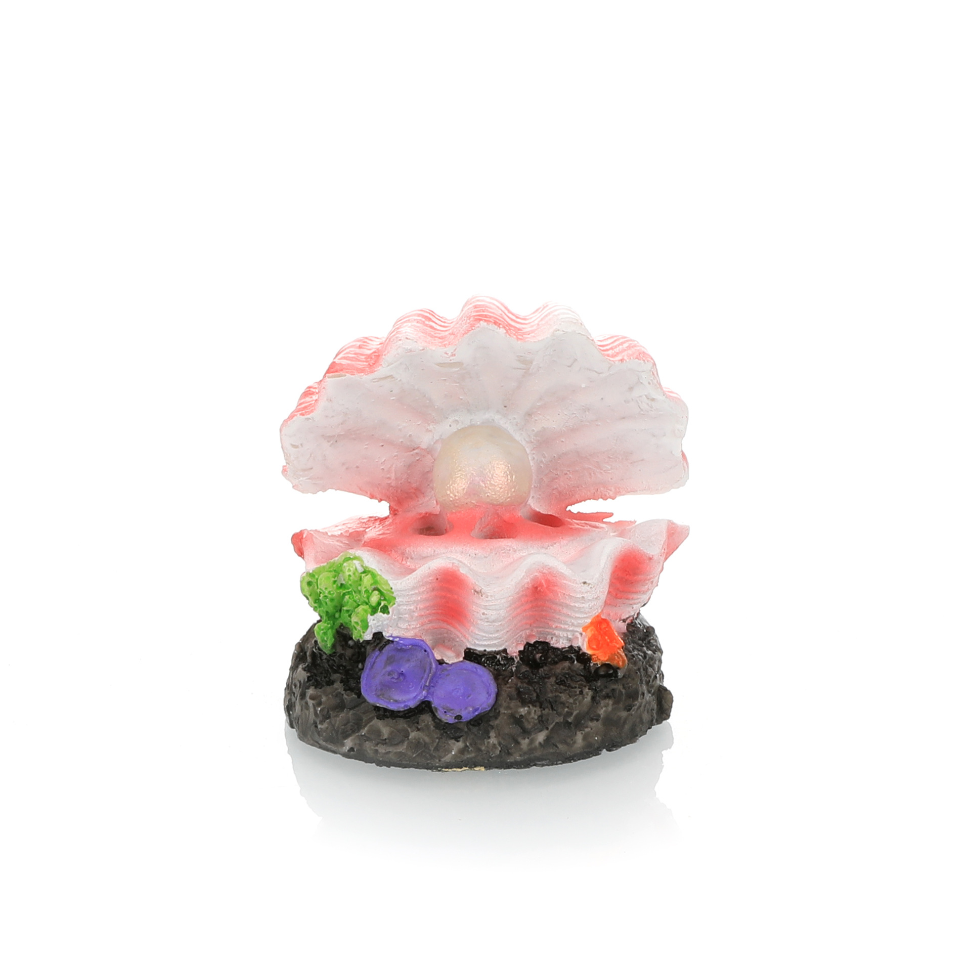 Fish Tank Landscaping Simulati - đánh giá và giá Marine Aquarium Hobby