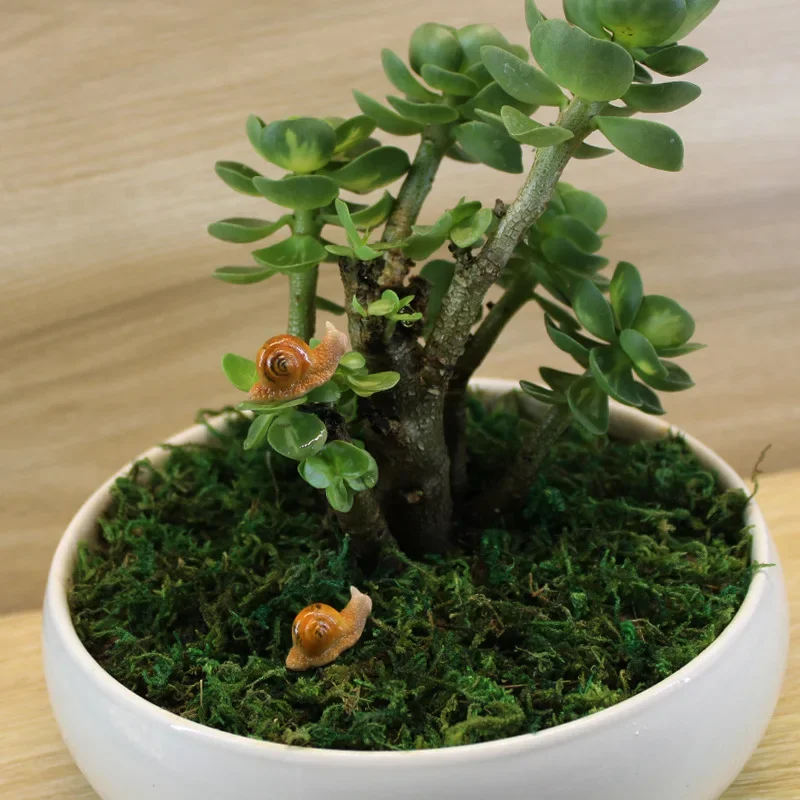 Kawaii Snail Figurines Artific - đánh giá và giá Marine Aquarium Hobby