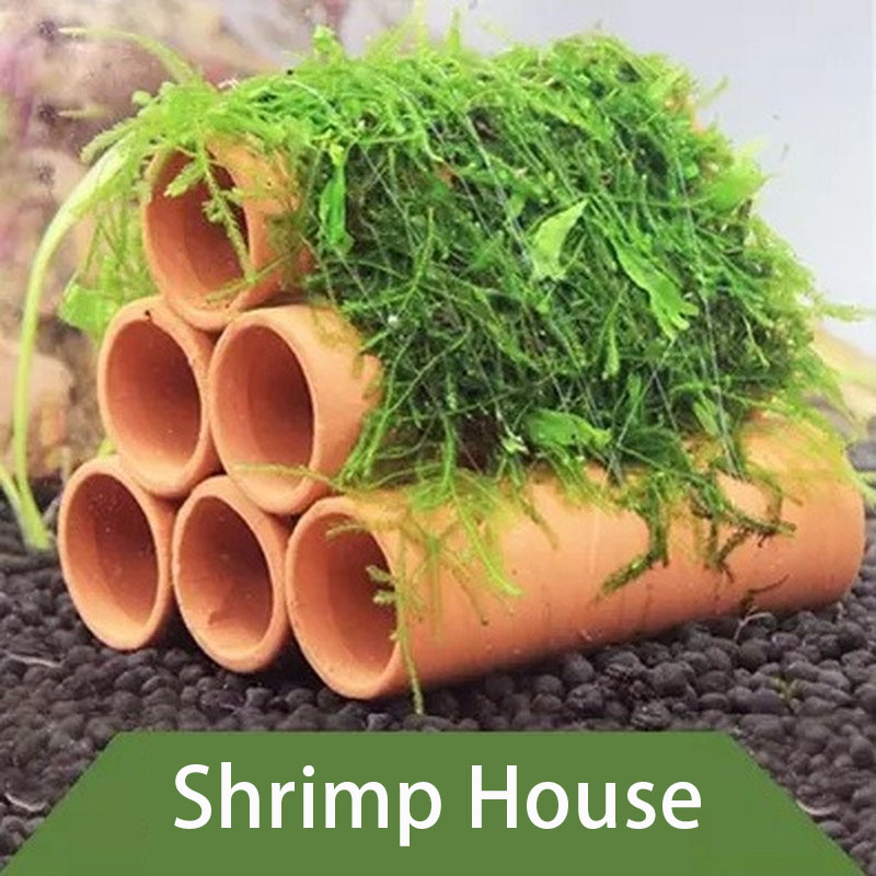 Clay Aquarium Decoration Fish  - đánh giá và giá Marine Aquarium Hobby