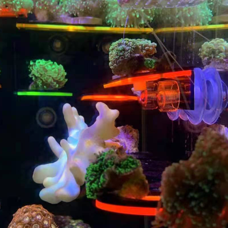 Aquarium Acrylic Fluorescent C - đánh giá và giá Marine Aquarium Reef
