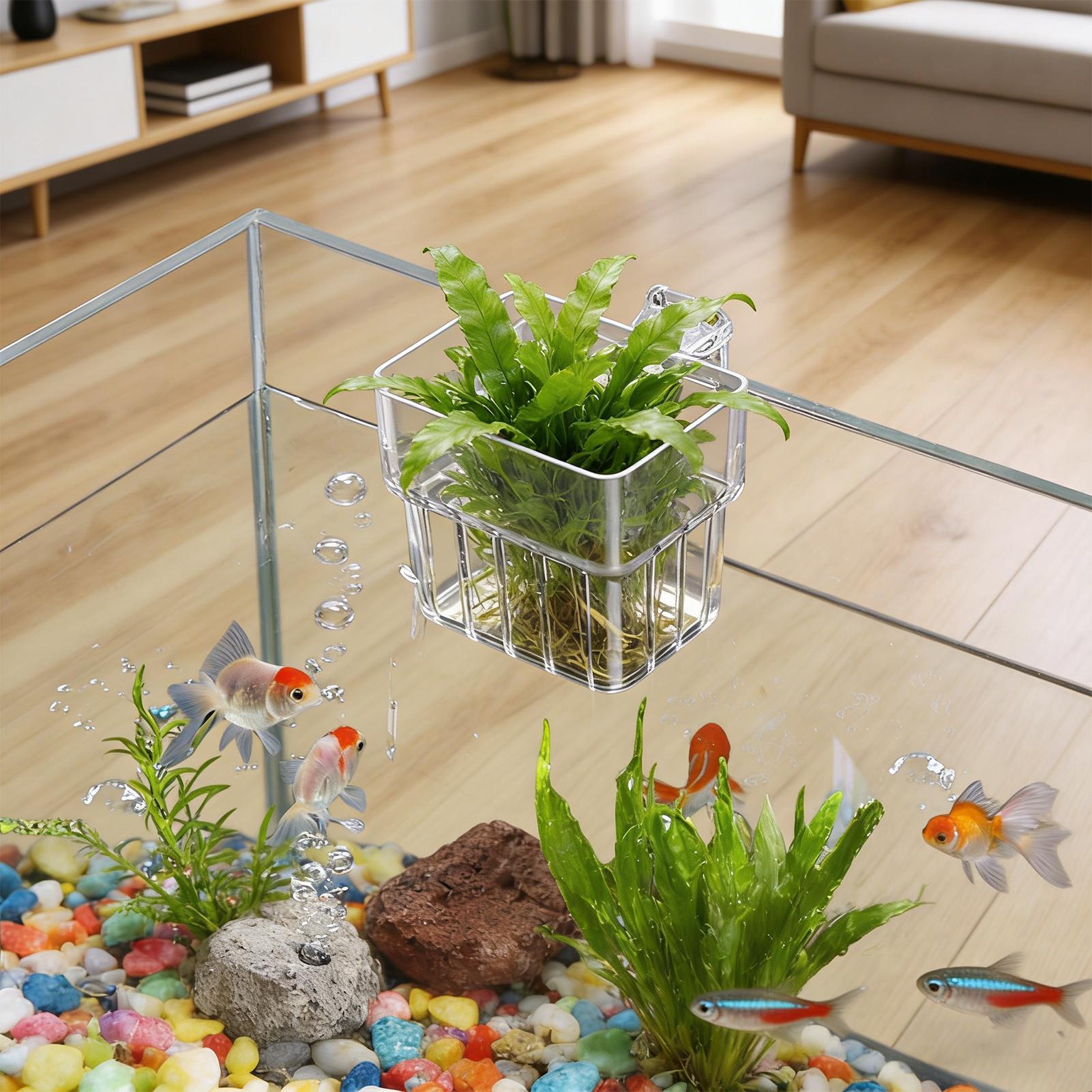 Aquarium Transparent Hanger Po - đánh giá và giá Marine Aquarium Hobby
