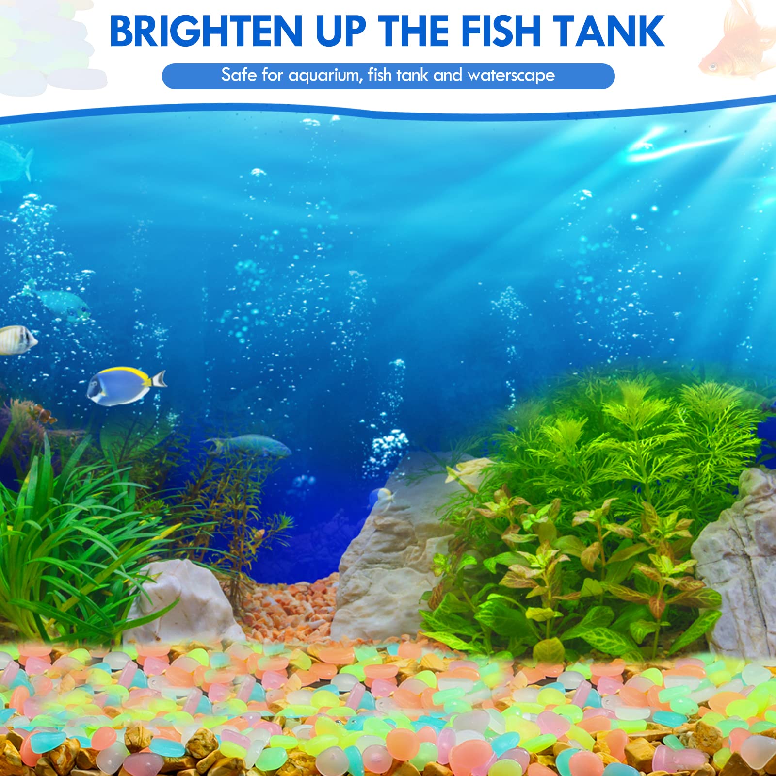 100Pcs Glow in the Dark Garden - đánh giá và giá Aquarium Marine Fish