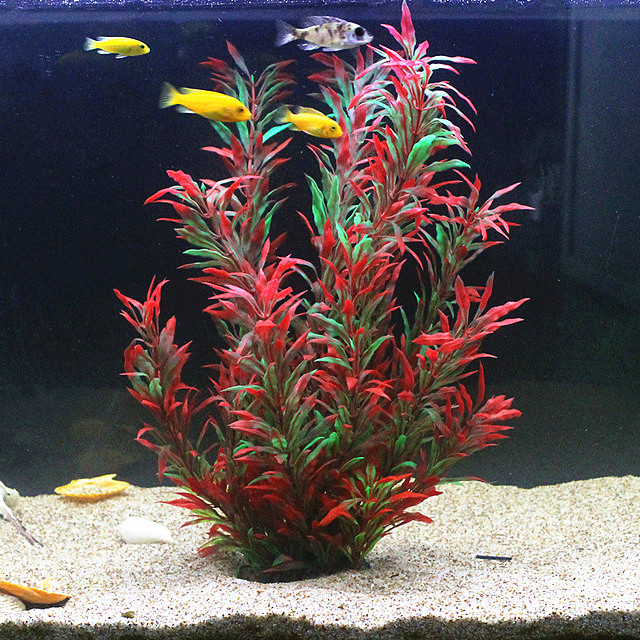50CM Artificial Fish Tank Rare - đánh giá và giá Aquarium Marine Fish