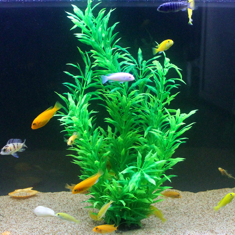 50CM Artificial Fish Tank Rare - đánh giá và giá Aquarium Marine Fish