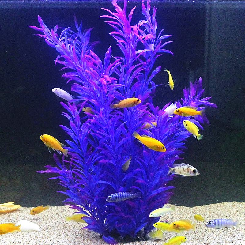 50CM Artificial Fish Tank Rare - đánh giá và giá Aquarium Marine Fish