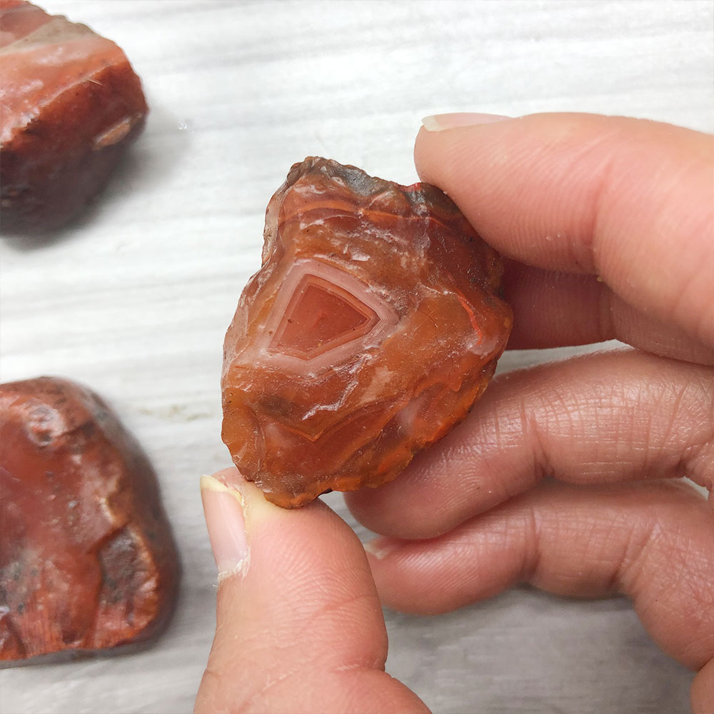 1pc Random Rough Raw Carnelian - đánh giá và giá Marine Aquarium Hobby