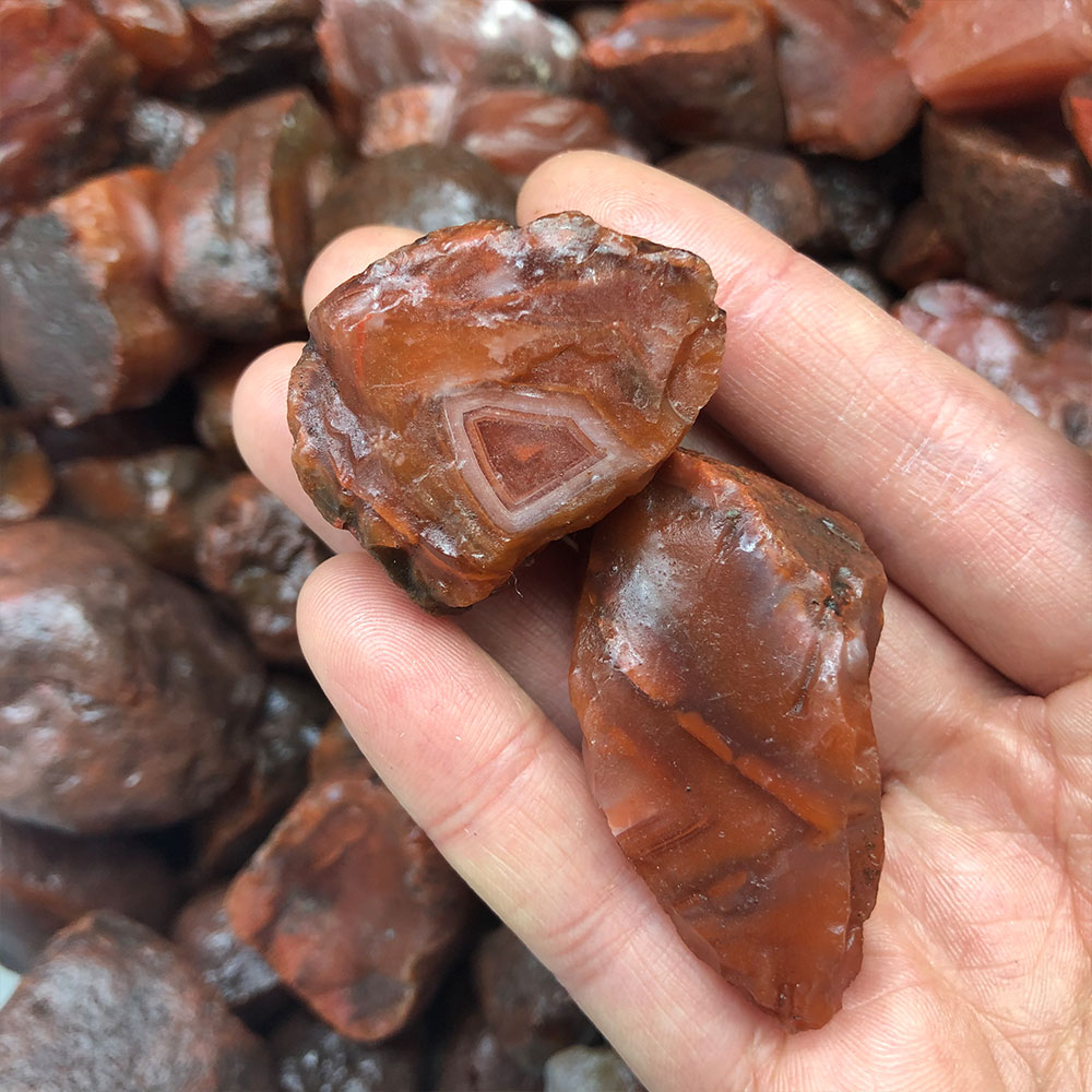 1pc Random Rough Raw Carnelian - đánh giá và giá Marine Aquarium Hobby