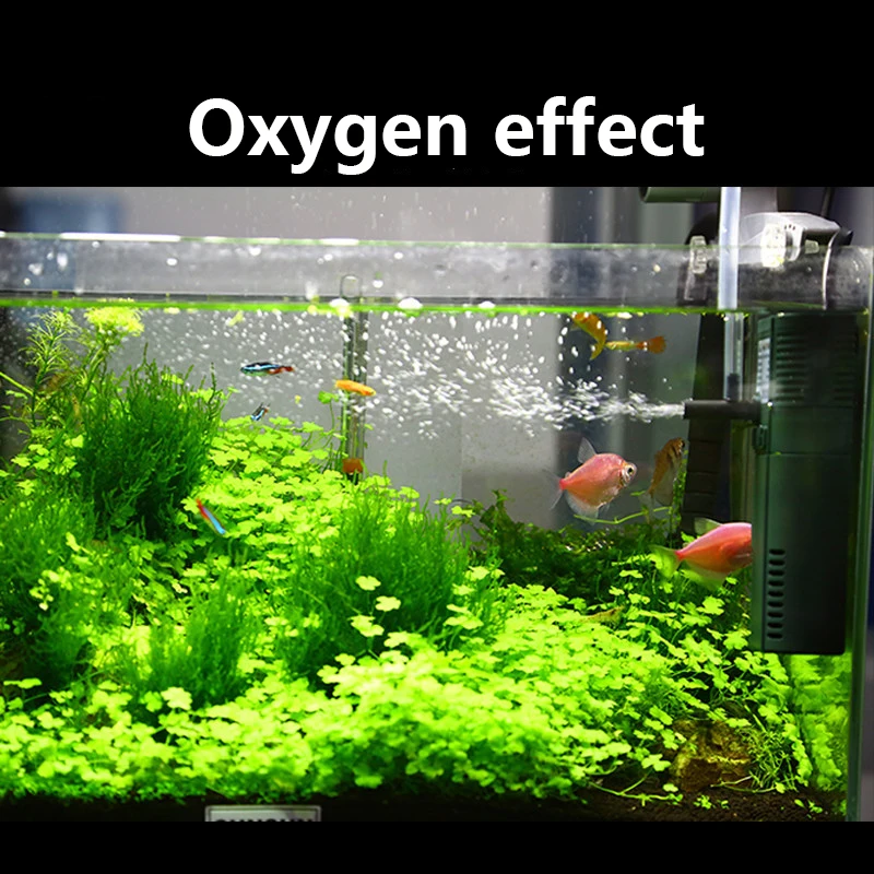 SUNSUN mini nano 111B 311B 611 - đánh giá và giá Marine Aquarium Par Meter